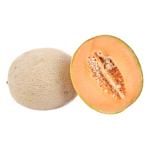 Melon Cantaloupe   Xkg