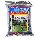 Semillas Para Cesped Lawn Grass X 1 Kg Sombra