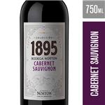 Vino Cabernet Sauvignon 1895 Bot 750 Ml