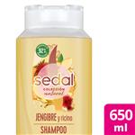 Shampoo SEDAL Jengibre & Ricino 650 Ml