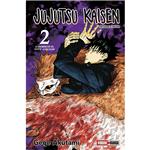 Libro Jujutsu Kaisen 2