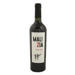 Vino Malbec Malizia 750ml