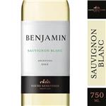 Vino Sauvignon Blanc Benjamin 750ml