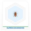 Insecticida RAID Mata Cucarachas Jeringa 3gr