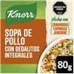 Sopa De Pollo Con Dedalitos Integrales KNORR 80gr