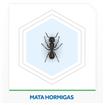 Insecticida Mata Hormigas RAID 360ml