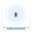 Insecticida RAID Exterminador Cucarachas En Aerosol 360ml