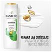 Shampoo Restauración PANTENE 400 Ml