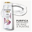 PANTENE Pro-V Miracles Detox Limpia - Purifica Shampoo Detox 200 Ml